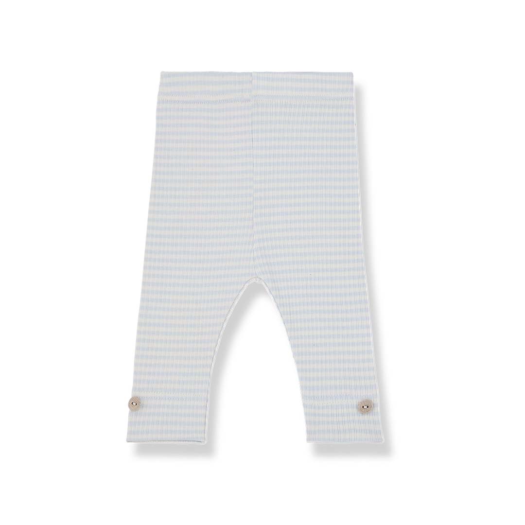 1+ in the family Aida Leggings
