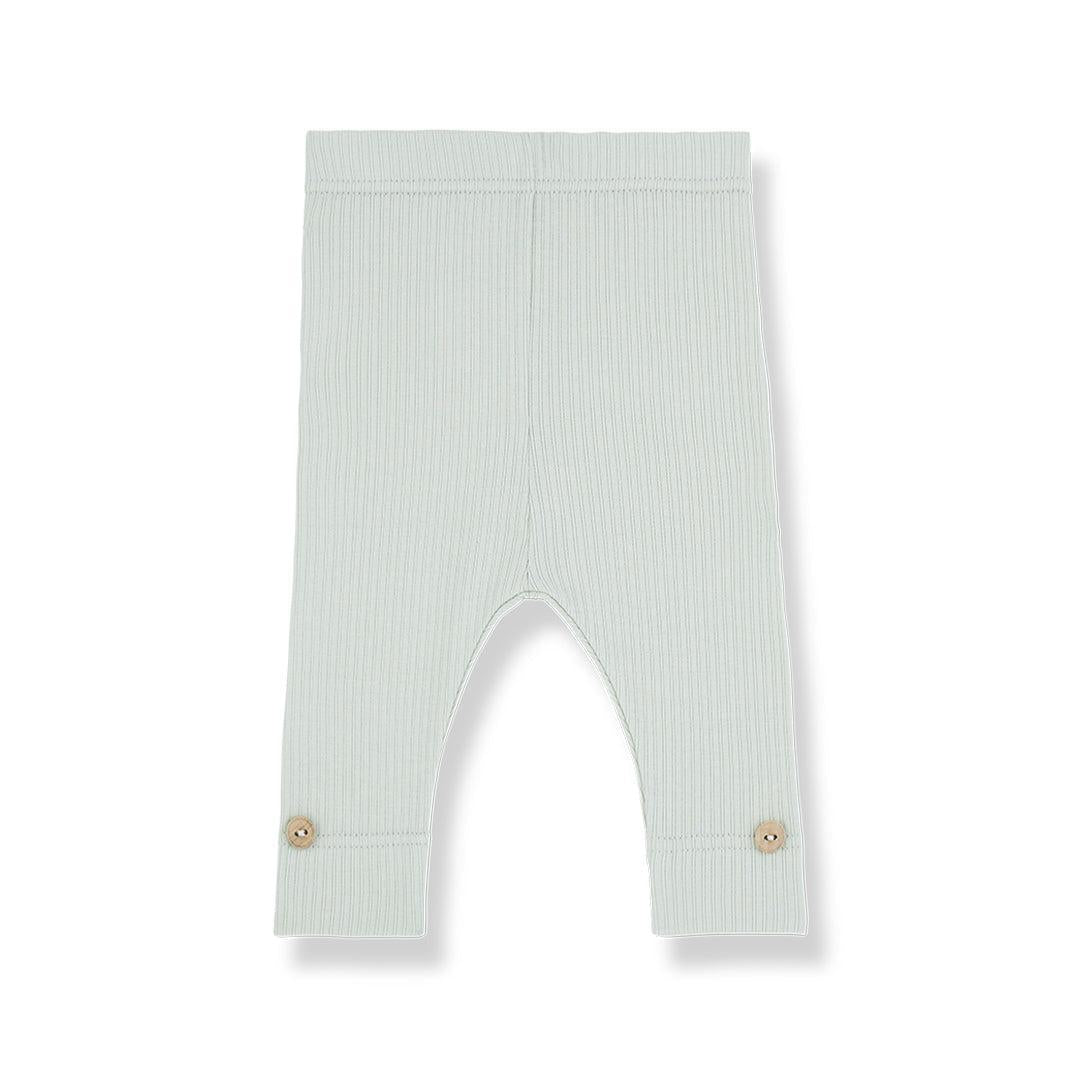 1+ in the family Nerea Leggings