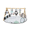 Tiny Love Luxe Gymini