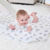 aden + anais Muslin Swaddles - 2 Pack - 120x120cm