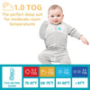 Love To Dream Swaddle Up Transition Suit