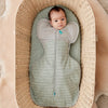 Love To Dream Swaddle Up - TOG 2.5