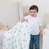 aden + anais Silky Soft Dream Blanket