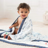 aden + anais Silky Soft Dream Blanket