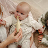 Little Brushies Brushi Bear Toothbrush