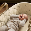 The Little Green Sheep Natural Quilted Moses Basket & Mattress