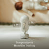 Owlet Dream Sight Camera