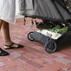 UPPAbaby Minu Duo