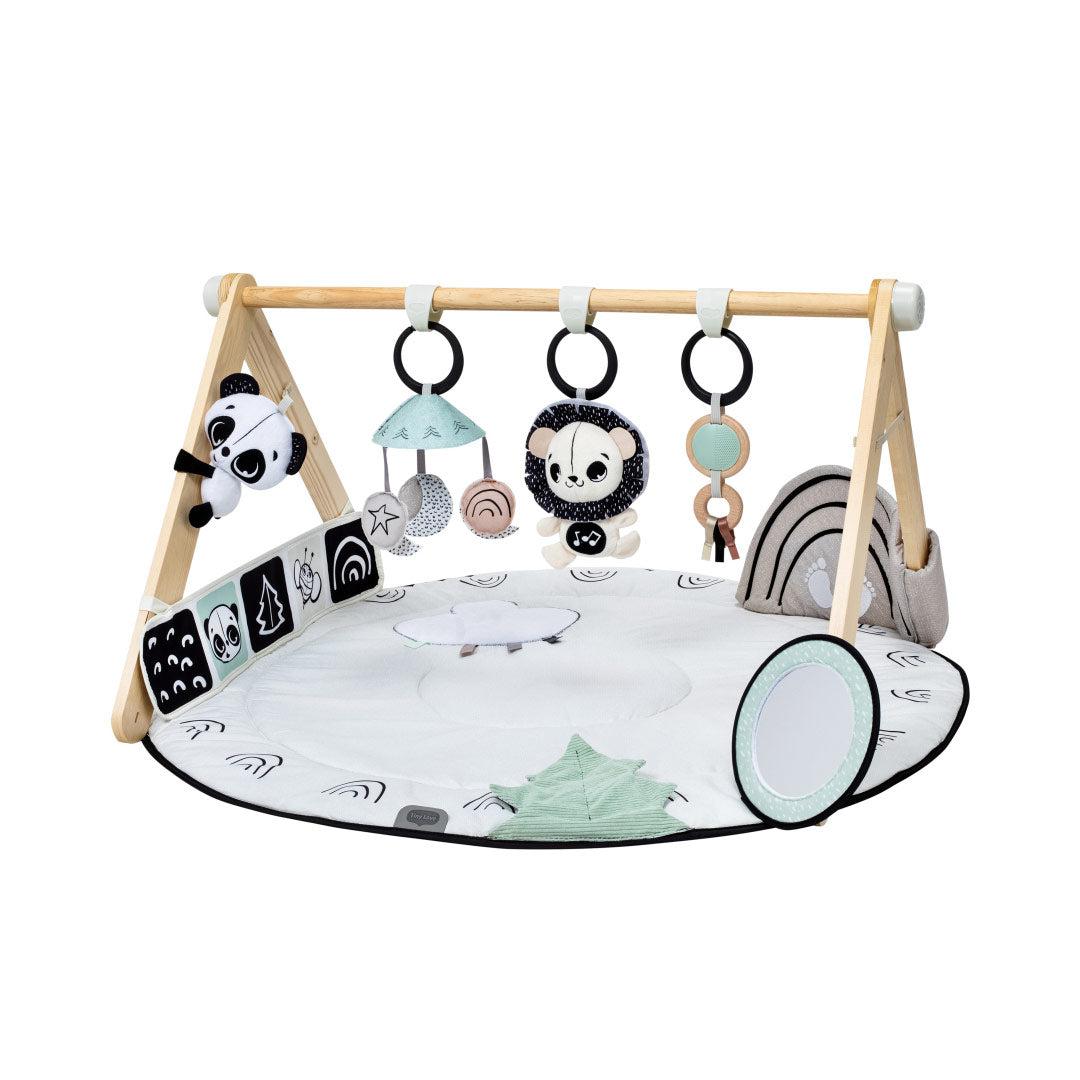 Tiny Love Luxe Gymini