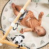 Tiny Love Luxe Gymini