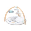 aden + anais Play + Discover Activity Gym - Rising Star [AWIN] [Natural Baby Shower Ltd]
