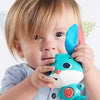 Tiny Love Wonder Buddy